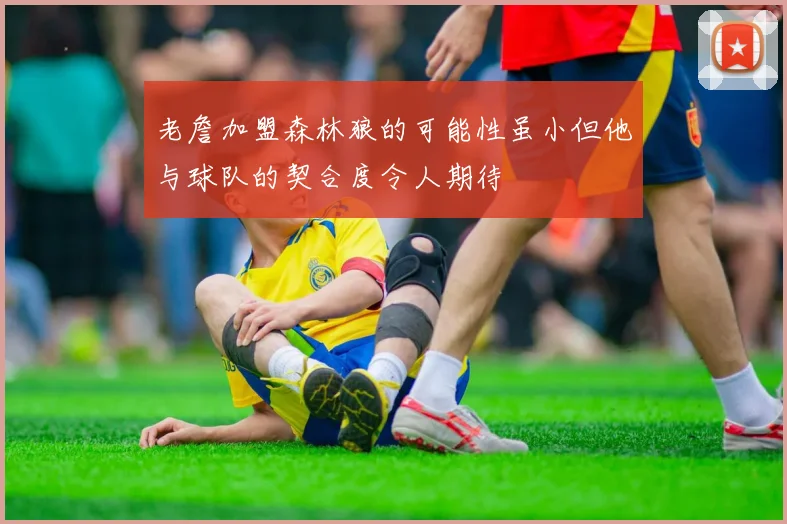 老詹加盟森林狼的可能性虽小但他与球队的契合度令人期待